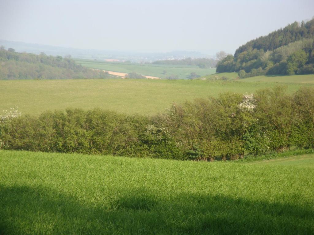 Stokesay Inn Craven Arms Esterno foto